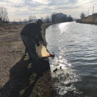 Lâchers de truites 2022 » Frouard